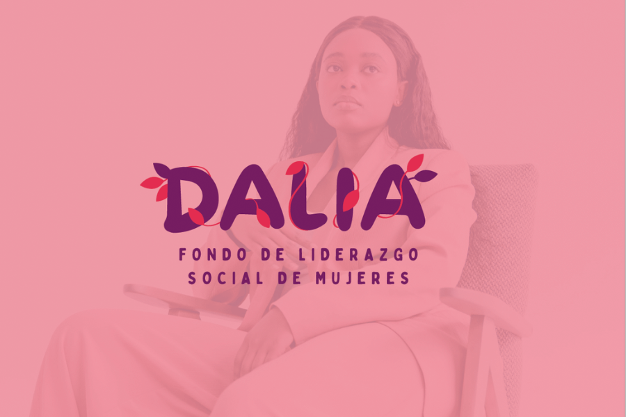 Logo - Branding Fondo Dalia 1